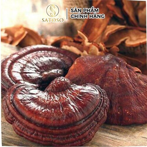 Nấm Linh Chi sấy khô Satoso