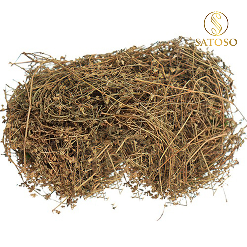 Biển Súc (Rau đắng biển) sấy khô Satoso - Ảnh 8