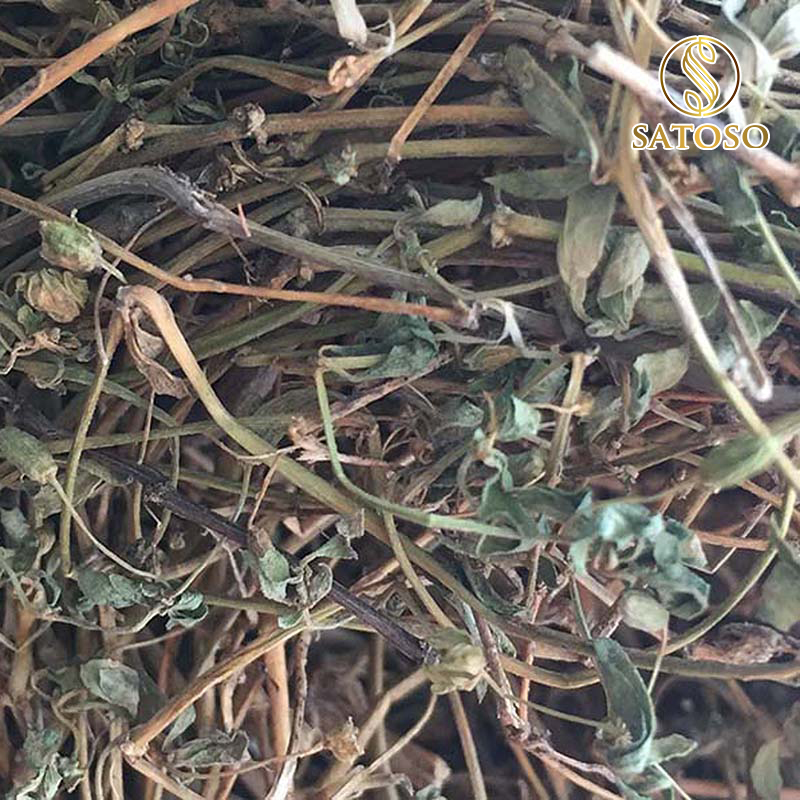 Biển Súc (Rau đắng biển) sấy khô Satoso - Ảnh 7