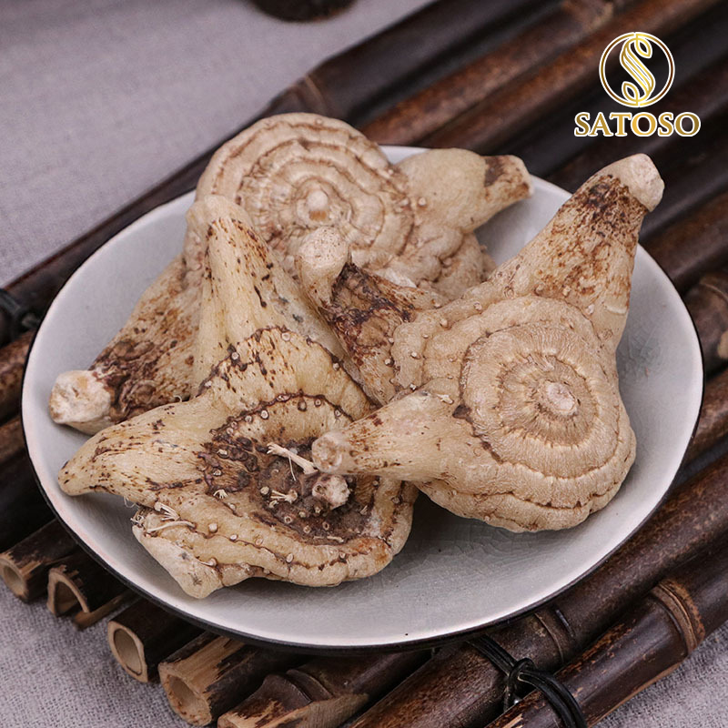 Bạch Cập sấy khô Satoso - Ảnh 5