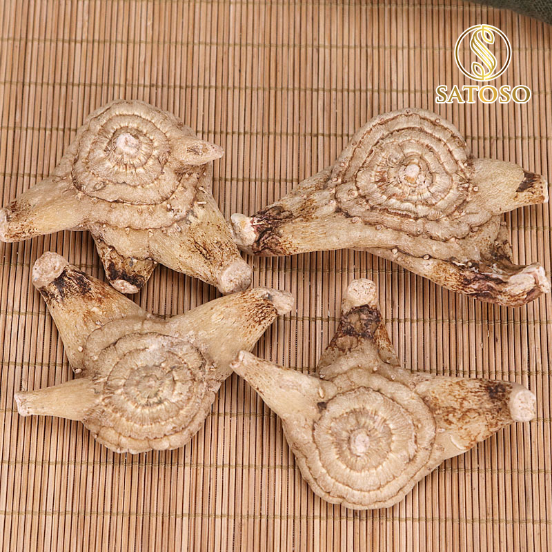 Bạch Cập sấy khô Satoso - Ảnh 2