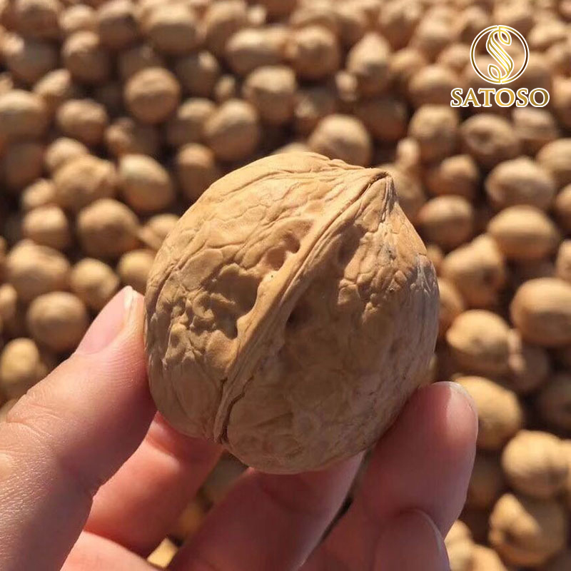 Quả Óc Chó Satoso loại thượng hạng - Ảnh 3