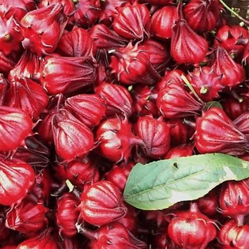 Trà Hoa Atiso sấy khô Satoso hỗ trợ làm đẹp da, góp phần giảm mụn và làm mờ các dấu hiệu lão hóa - Ảnh 3