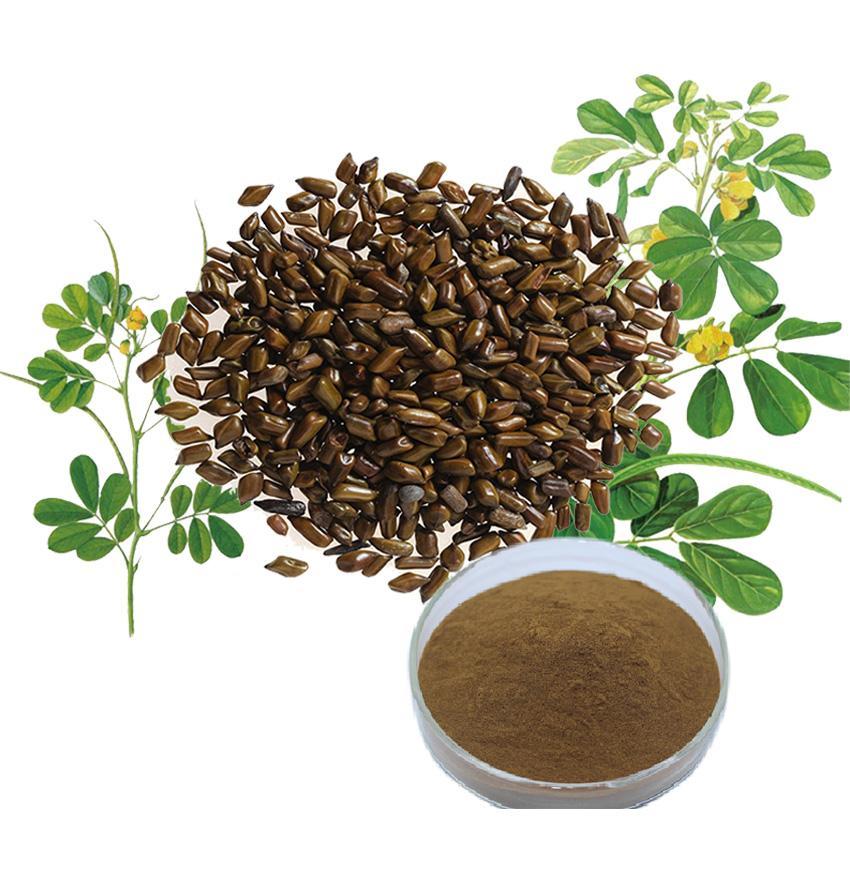 Trà hạt muồng (Thảo quyết minh) Satoso giúp bảo vệ gan, chống oxy hóa - Ảnh 3