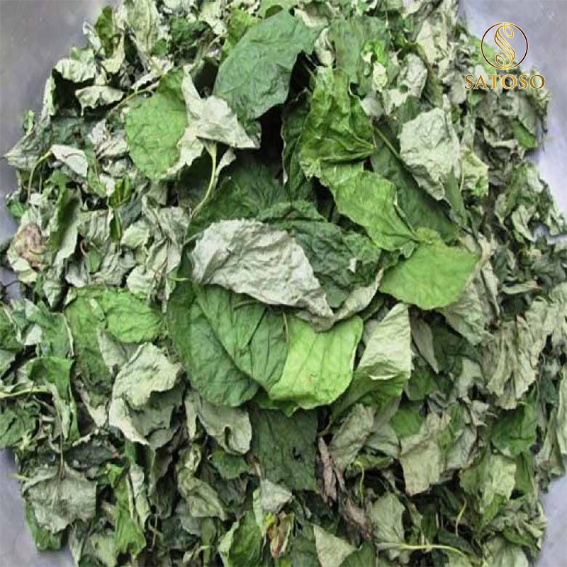 Lá lốt khô Satoso hỗ trợ tiêu hóa, tăng cường hệ miễn dịch - Ảnh 5