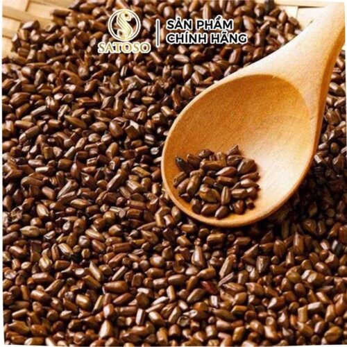 Trà hạt muồng (Thảo quyết minh) Satoso giúp bảo vệ gan, chống oxy hóa