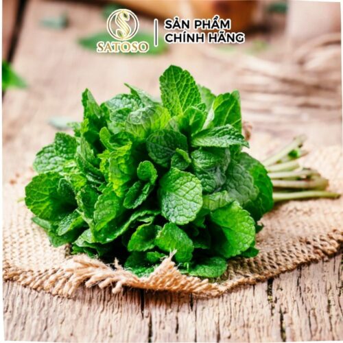 Trà bạc hà Satoso hỗ trợ tiêu hóa, giúp tinh thần tỉnh táo
