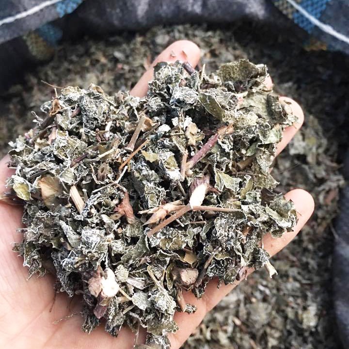 Chè dây Cao Bằng sấy khô Satoso - Ảnh 6