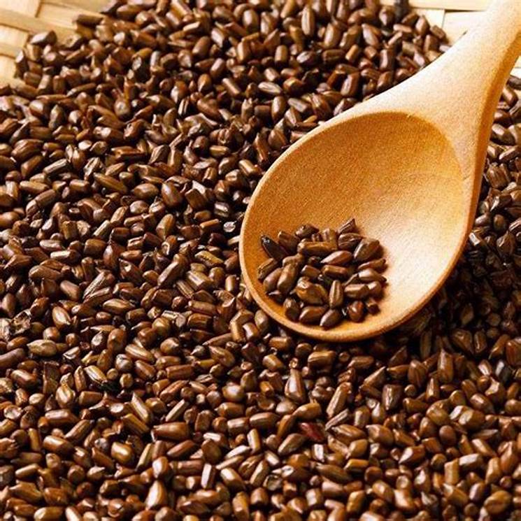 Trà hạt muồng (Thảo quyết minh) Satoso giúp bảo vệ gan, chống oxy hóa - Ảnh 5