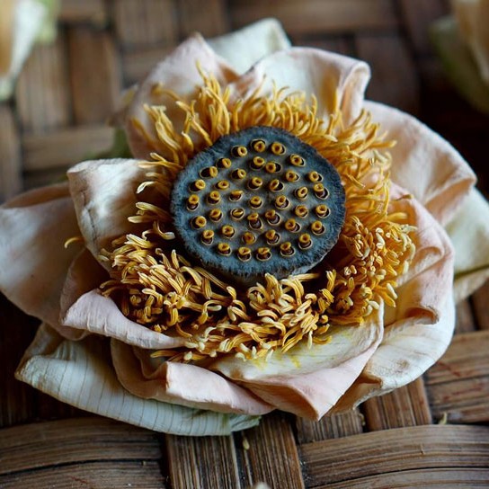 Trà hoa sen nguyên bông Satoso giúp giảm căng thẳng, cải thiện tuần hoàn máu - Ảnh 3