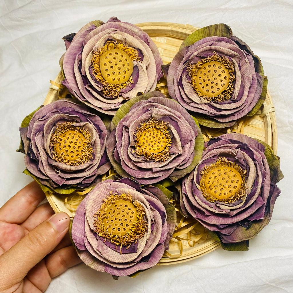 Trà hoa sen nguyên bông Satoso giúp giảm căng thẳng, cải thiện tuần hoàn máu - Ảnh 5