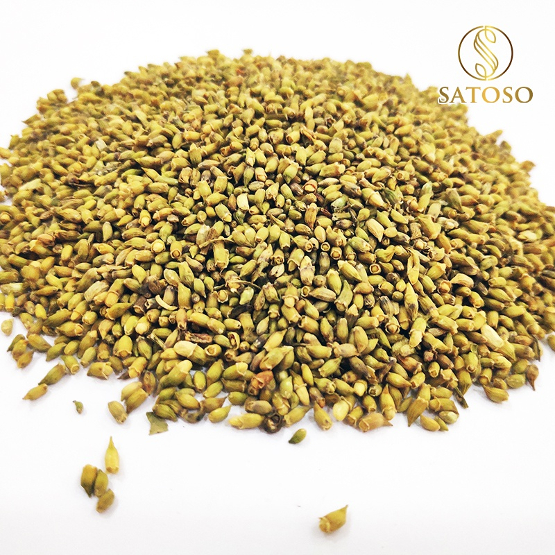 Nụ hoa Hòe sấy khô Satoso hỗ trợ ổn định huyết áp và tuần hoàn - Ảnh 3