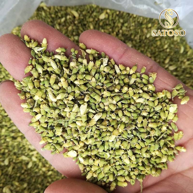 Nụ hoa Hòe sấy khô Satoso hỗ trợ ổn định huyết áp và tuần hoàn - Ảnh 5