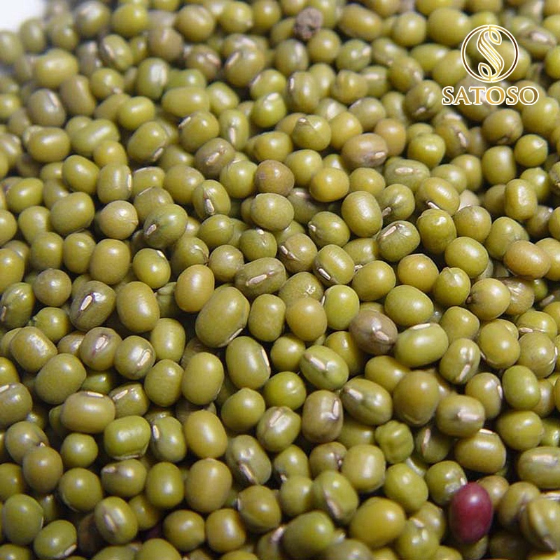 Hạt Đậu xanh Satoso - Ảnh 6