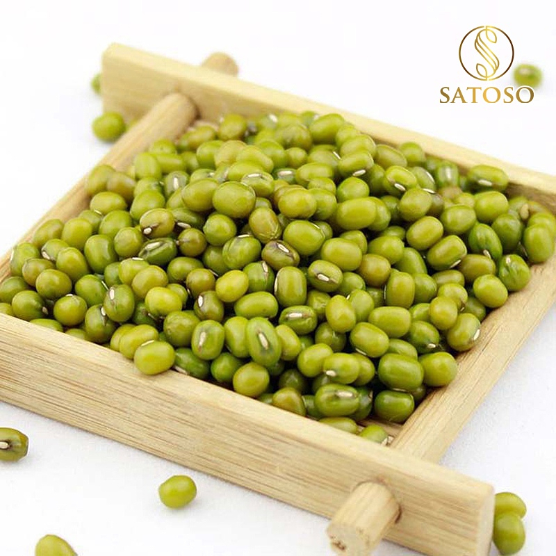 Hạt Đậu xanh Satoso - Ảnh 5