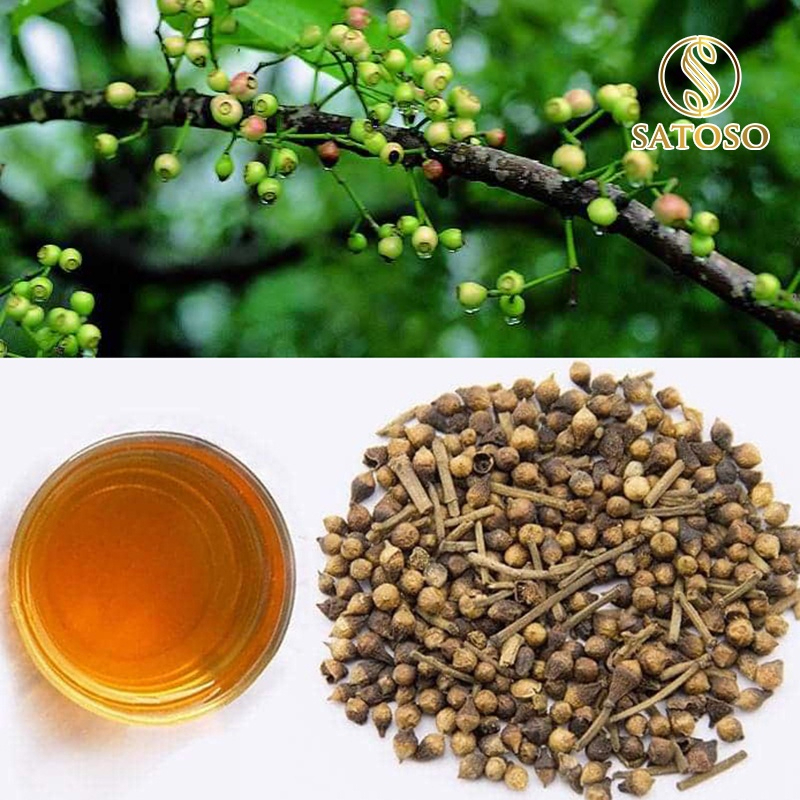 Trà nụ Vối khô Satoso hỗ trợ hoạt huyết và giấc ngủ - Ảnh 6