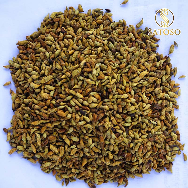 Nụ hoa Hòe sấy khô Satoso hỗ trợ ổn định huyết áp và tuần hoàn - Ảnh 4