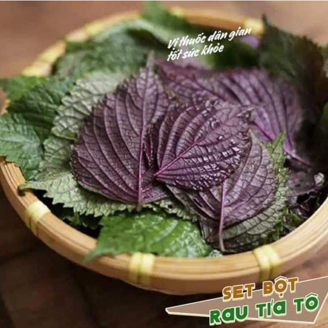 Bột Tía Tô Satoso hỗ trợ tiêu hóa và đường hỗ hấp - Ảnh 3