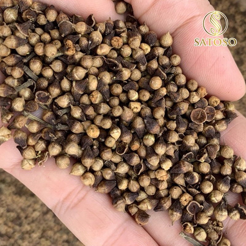 Trà nụ Vối khô Satoso hỗ trợ hoạt huyết và giấc ngủ - Ảnh 4