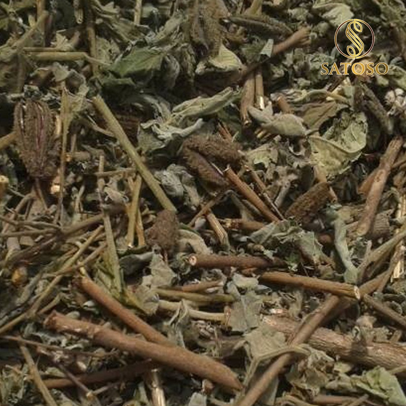 Cây An Xoa Khô SATOSO - Ảnh 4