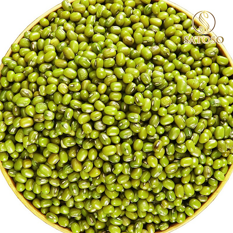 Hạt Đậu xanh Satoso - Ảnh 3