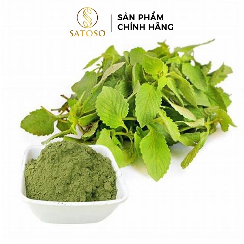 Bột Tía Tô Satoso hỗ trợ tiêu hóa và đường hỗ hấp