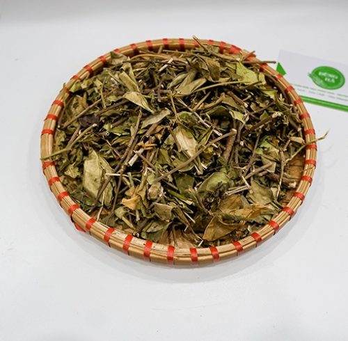 Dây Thìa Canh sấy khô Satoso - Ảnh 5