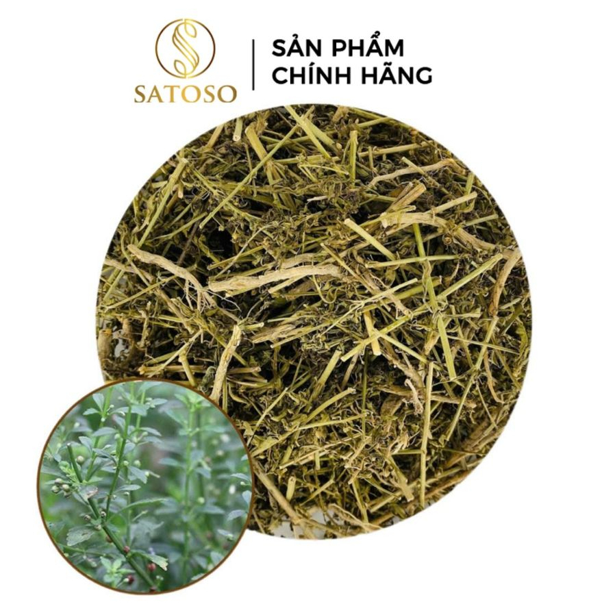 Cam Thảo Đất Khô Satoso - Ảnh 5