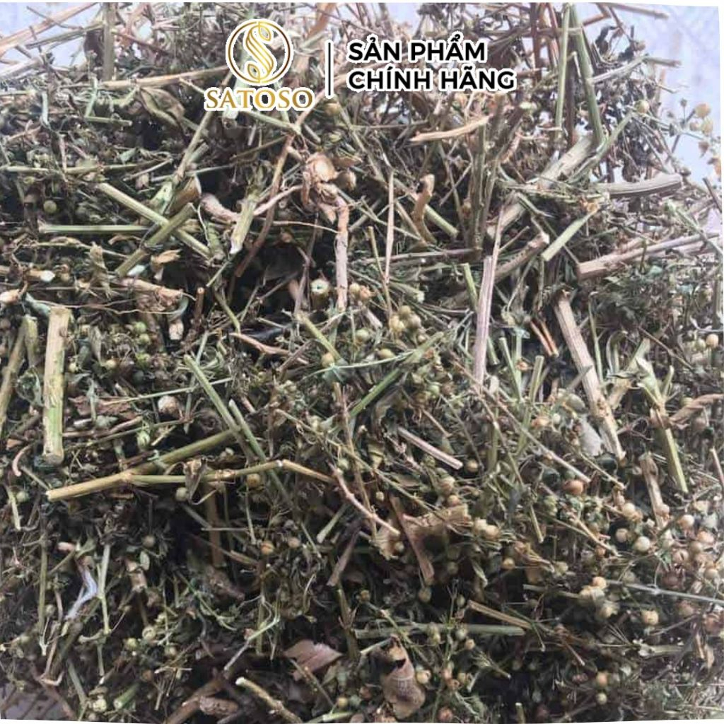 Cam Thảo Đất Khô Satoso - Ảnh 7