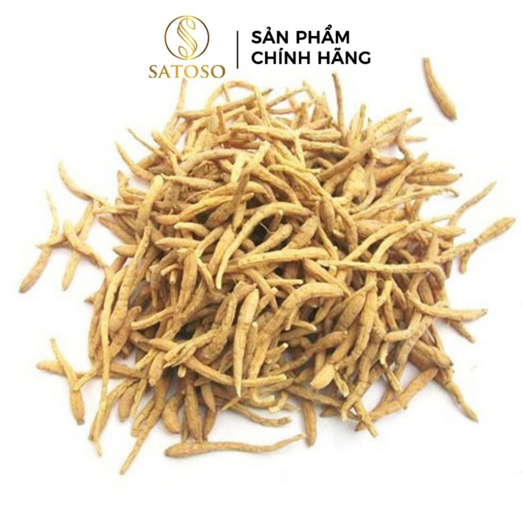 Thái Tử Sâm Thượng Hạng Thương Hiệu SATOSO