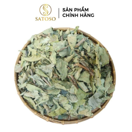 Lá Vối Khô Satoso