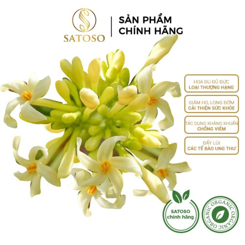 Hoa Đu Đủ Đực Khô SATOSO