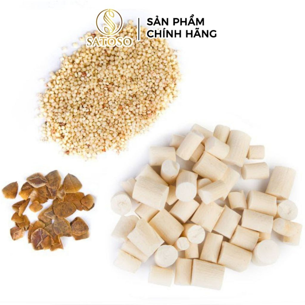 Thông Thảo Khô Satoso - Ảnh 2