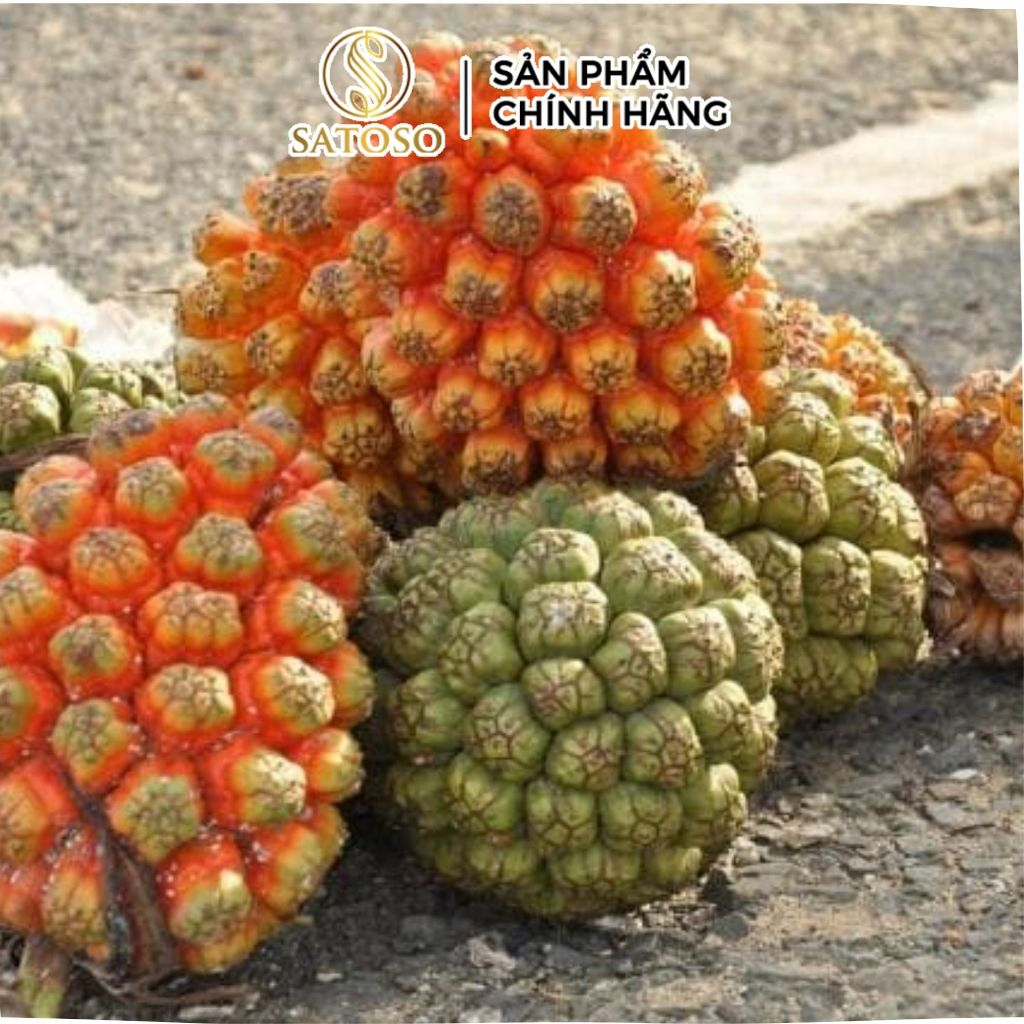 Dứa Dại Khô SATOSO - Ảnh 2