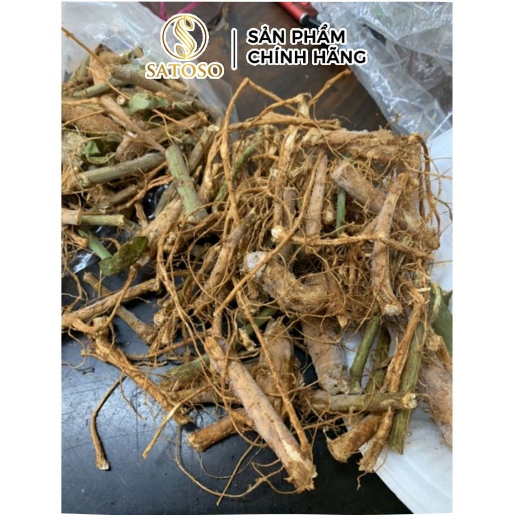 Rễ Cây Xấu Hổ Đỏ Sấy Khô Thương Hiệu Satoso - Ảnh 2