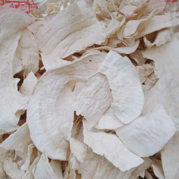 Sâm Tố Nữ Khô Thương Hiệu SATOSO - Ảnh 2