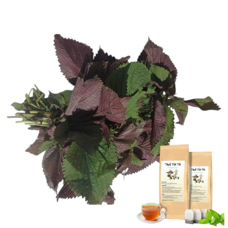 Trà Tía Tô Túi Lọc SATOSO - Ảnh 2