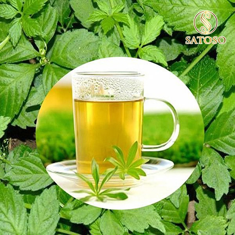 Cây Giảo Cổ Lam Sấy Khô SATOSO - Ảnh 3