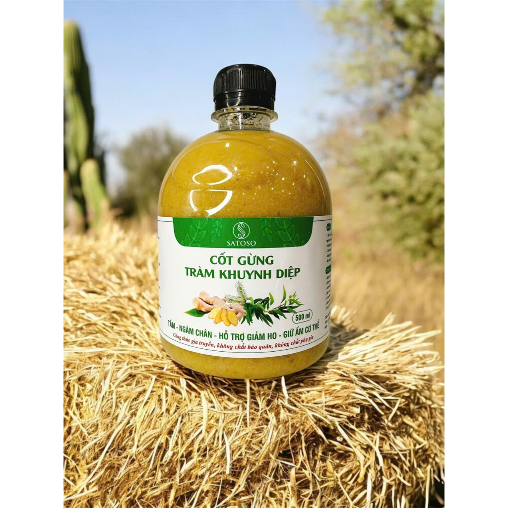 Cốt Gừng Tràm Khuynh Diệp Satoso 500ml- Pha Tắm Bé, Ngâm Chân, Giữ Ấm - Ảnh 3