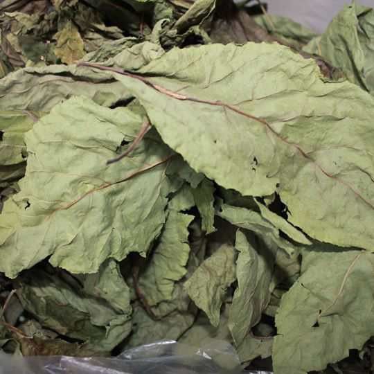 Lá Đắng Khô SATOSO