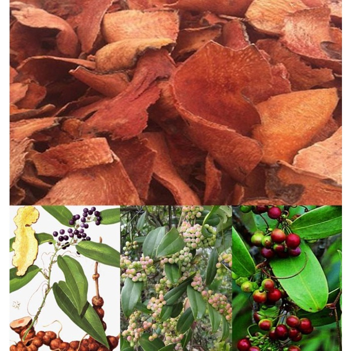 Thổ Phục Linh Đỏ Khô Thương Hiệu SATOSO - Ảnh 4