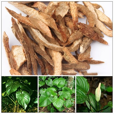 Thiên Niên Kiện Khô Sạch Thượng Hạng SATOSO - Ảnh 3