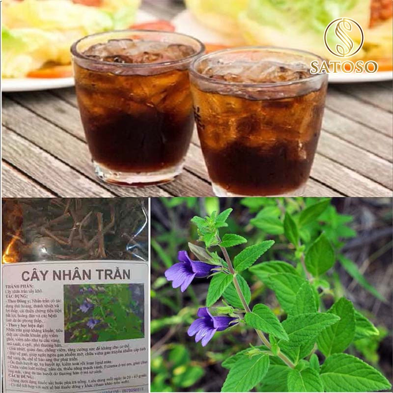 Nhân Trần Sấy Khô SATOSO - Ảnh 5