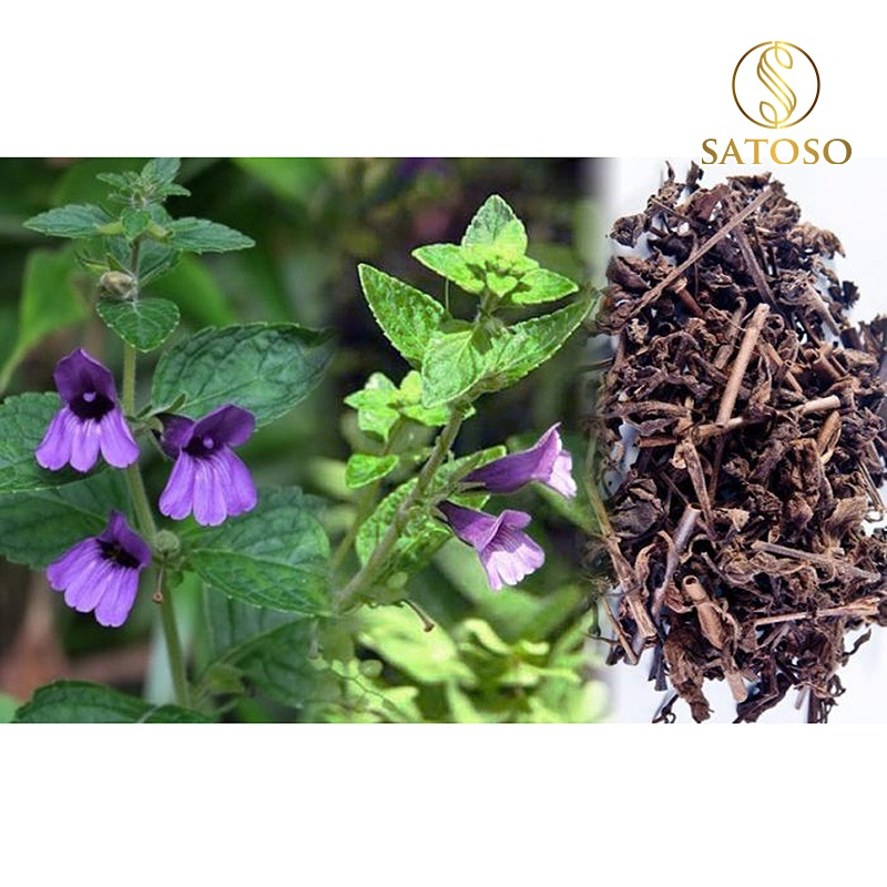 Nhân Trần Sấy Khô SATOSO - Ảnh 6