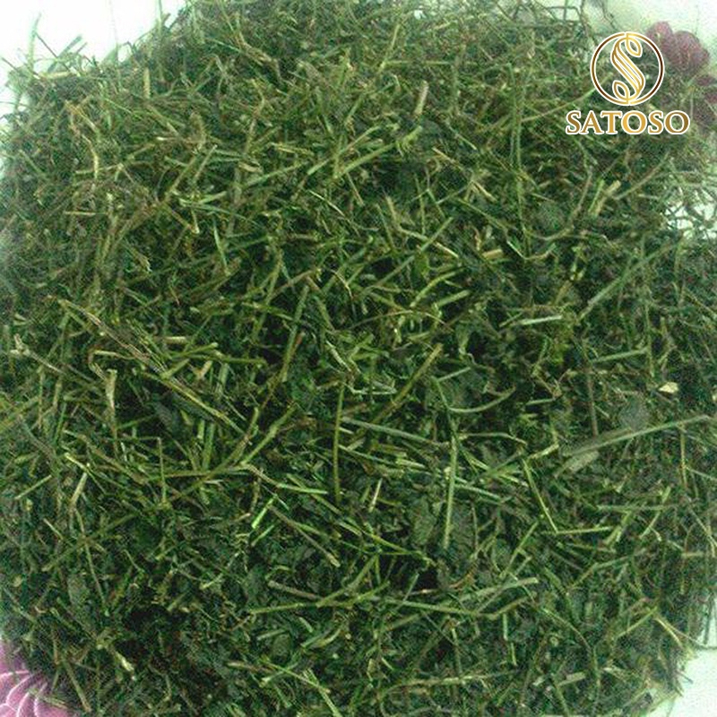 Cây Giảo Cổ Lam Sấy Khô SATOSO - Ảnh 6