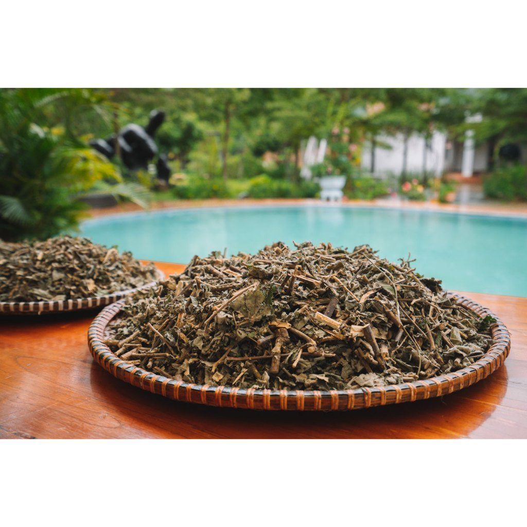 Cây Mâm Xôi Khô Thương Hiệu SATOSO - Ảnh 6