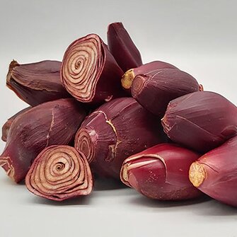 Sâm Đại Hành Khô Bổ Huyết Thương Hiệu Satoso