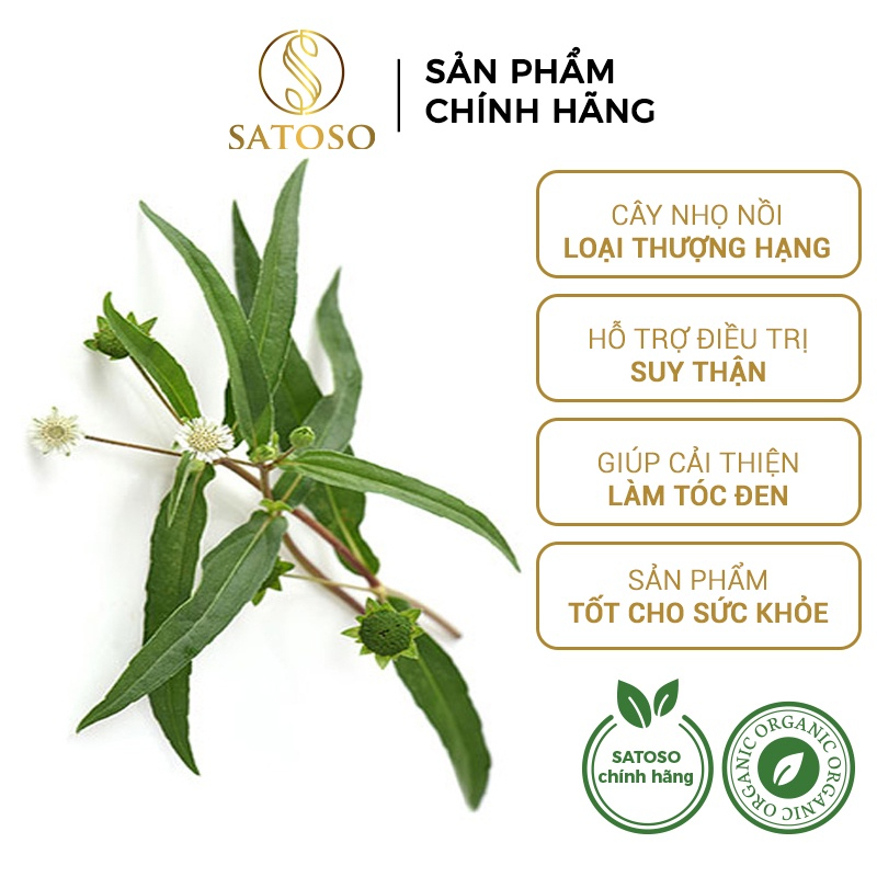 Nhọ Nồi khô Satoso - Ảnh 3