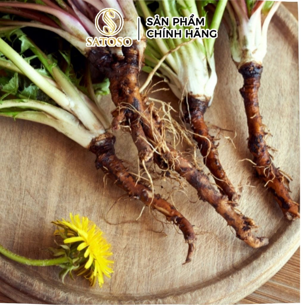 Rễ Bồ Công Anh Khô Thượng Hạng SATOSO