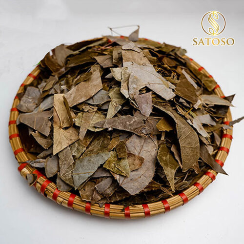 Lá dâm dương hoắc SATOSO